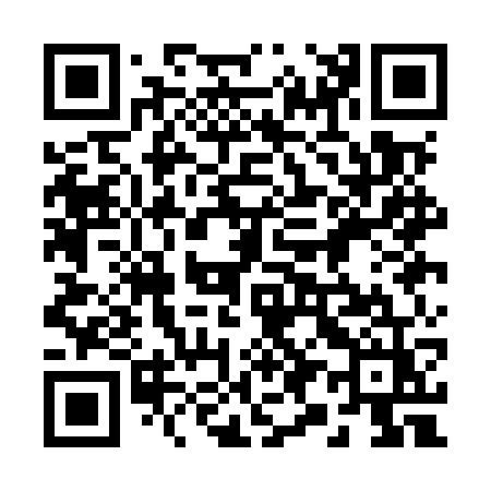 QR code for 291MWZ