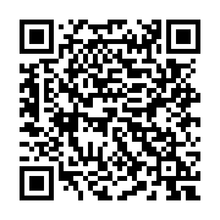 QR code for 291OWE