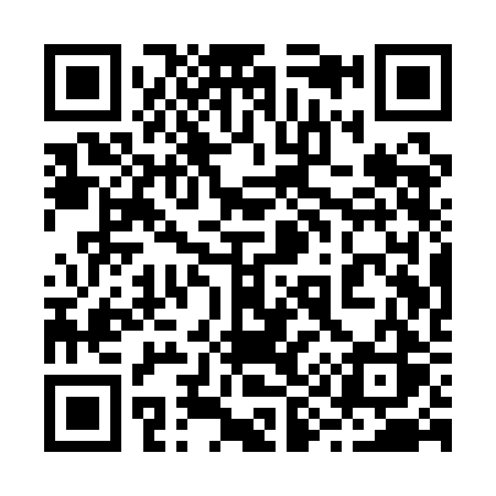 QR code for 291QBS