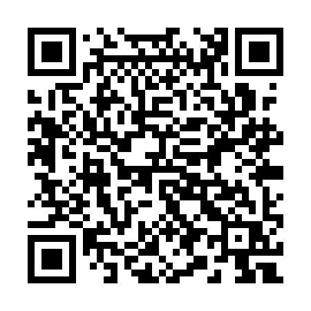 QR code for 291QIR