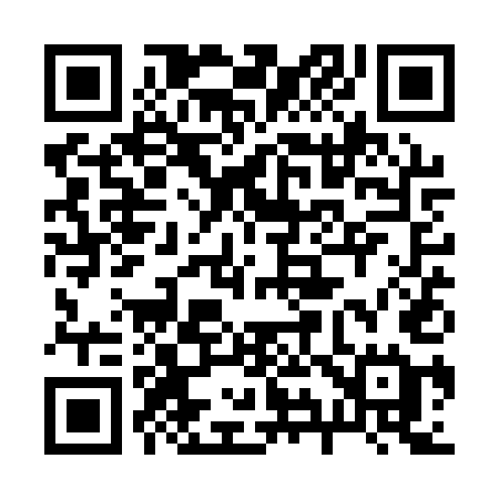 QR code for 291QUE