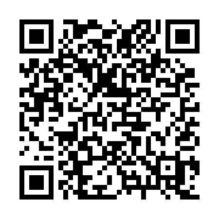 QR code for 291RAI