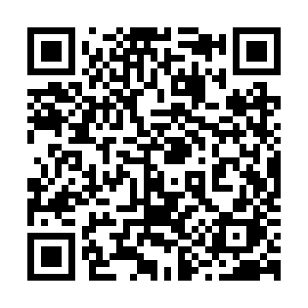 QR code for 291RZH