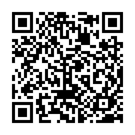 QR code for 291SQL
