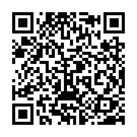 QR code for 291SSX