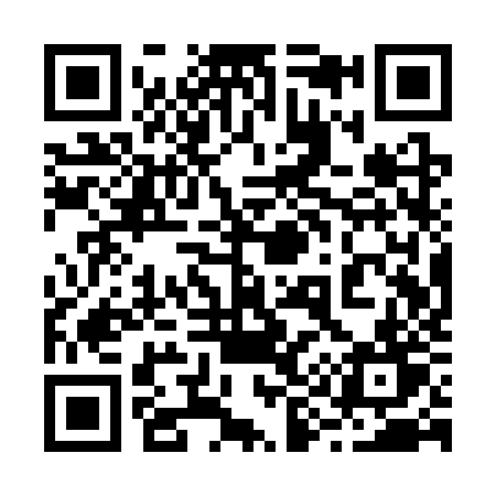 QR code for 291SZT