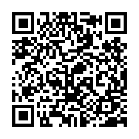 QR code for 291TOT