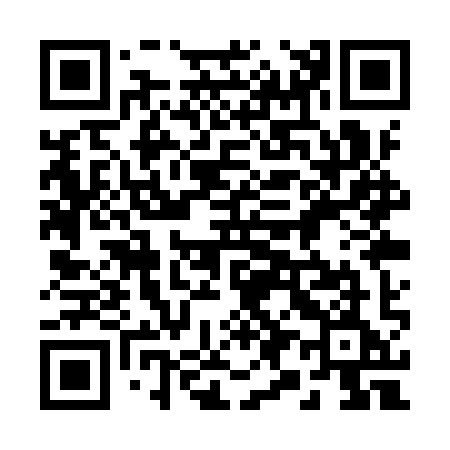 QR code for 291YYE