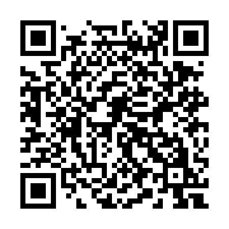 QR code for 293DAO