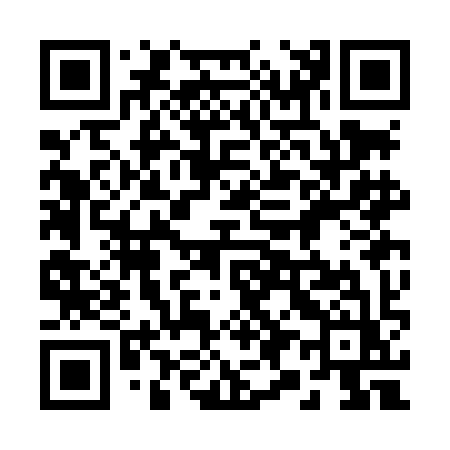 QR code for 293LIZ