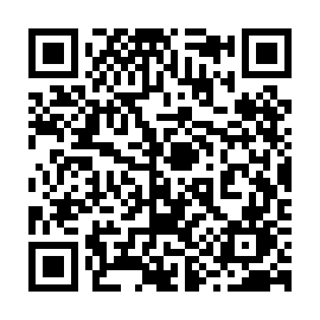 QR code for 293PGN