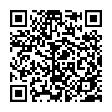 QR code for 293PPE