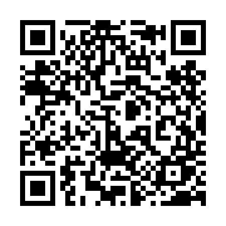 QR code for 293TDU