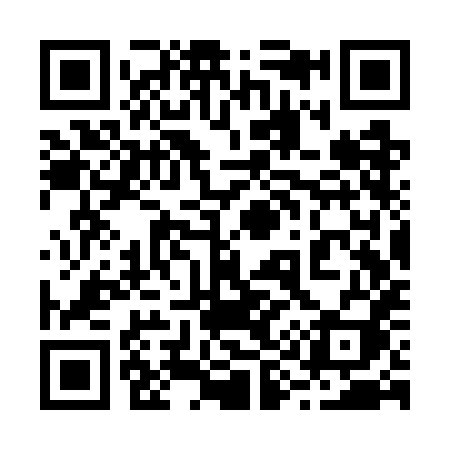 QR code for 293WHI