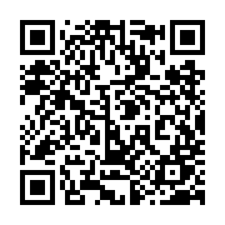 QR code for 293WMT