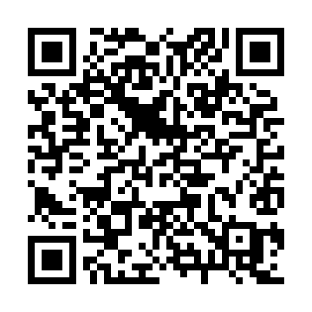 QR code for 293XIA
