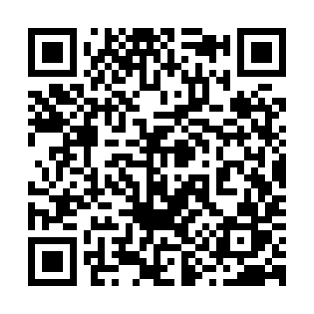 QR code for 293XYR