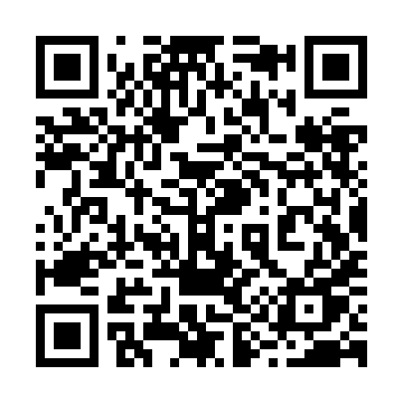 QR code for 293ZHU