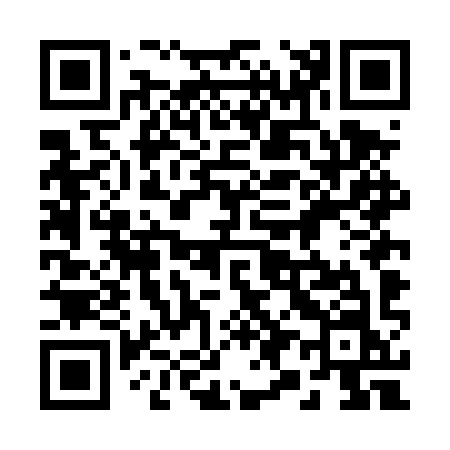 QR code for 294DYN