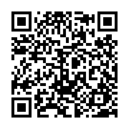 QR code for 294DZN