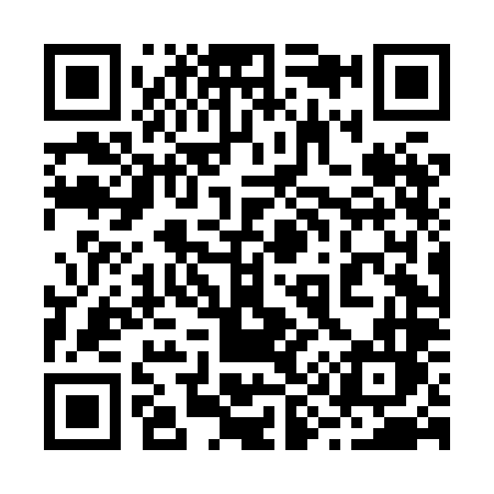 QR code for 294HLL