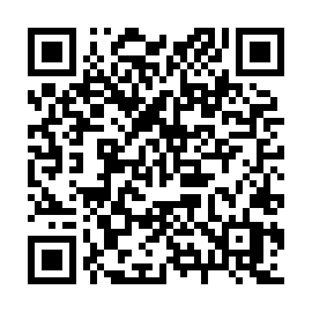 QR code for 294HLT