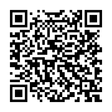 QR code for 294NYP