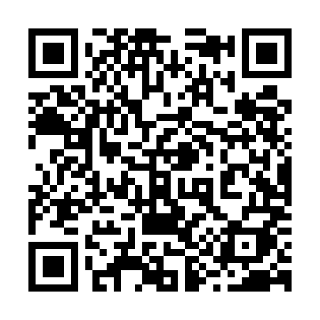 QR code for 294UMI