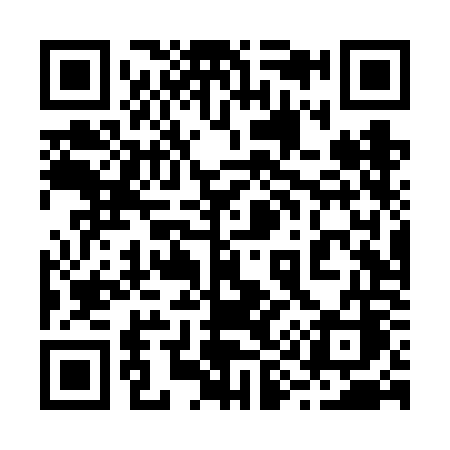 QR code for 294VOC