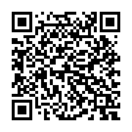 QR code for 295BZR