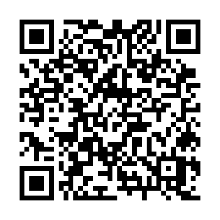 QR code for 295COT