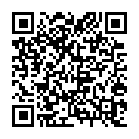 QR code for 295CUI