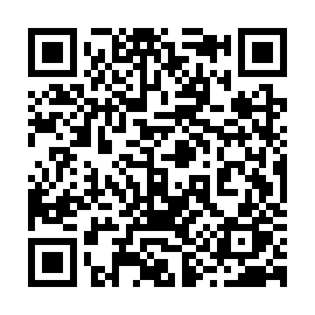 QR code for 295CZP