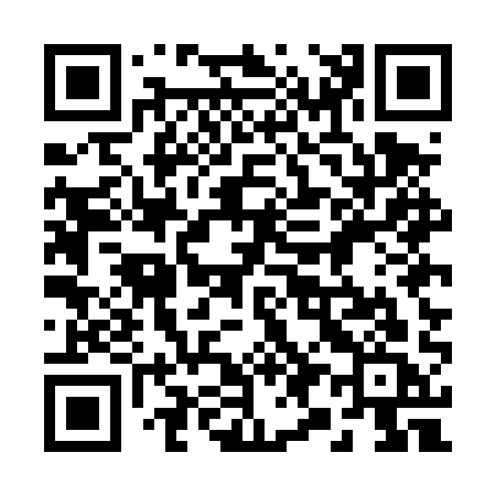 QR code for 295DQC