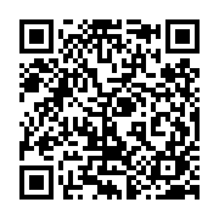 QR code for 295DUL