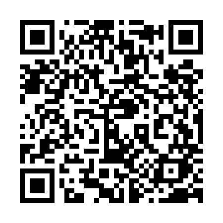 QR code for 295EMK