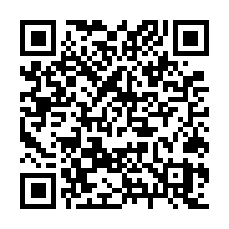 QR code for 295FNY