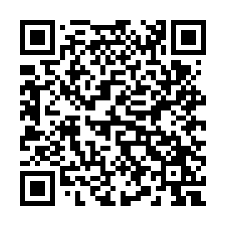 QR code for 295FTO