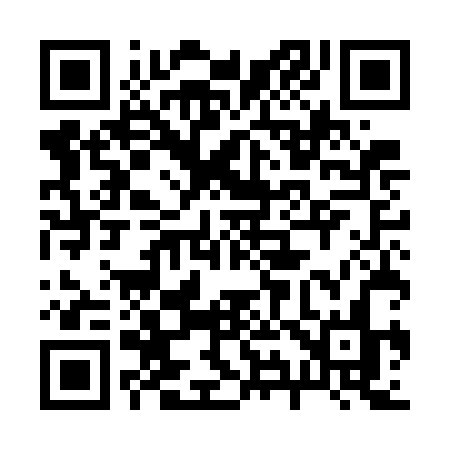 QR code for 295GBN