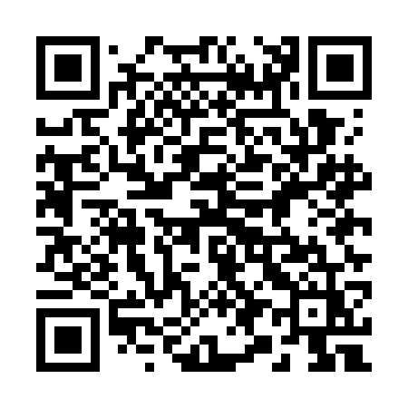 QR code for 295GGZ