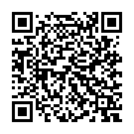QR code for 295GNP
