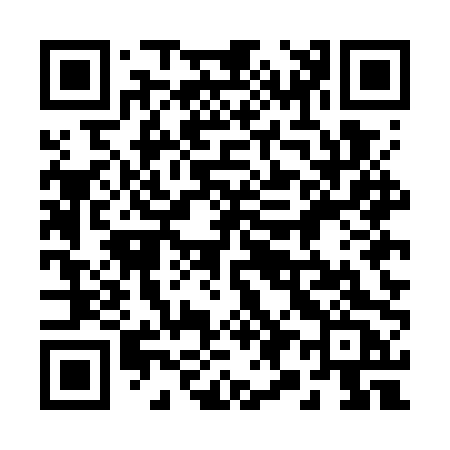 QR code for 295GPC