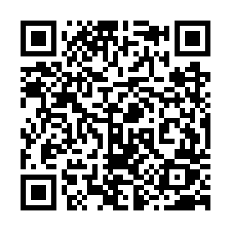 QR code for 295GTZ