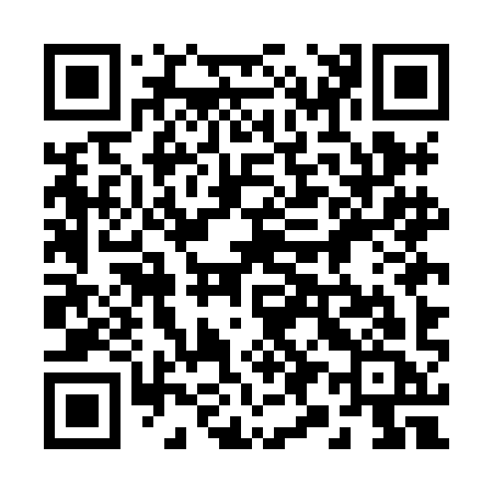 QR code for 295HIC