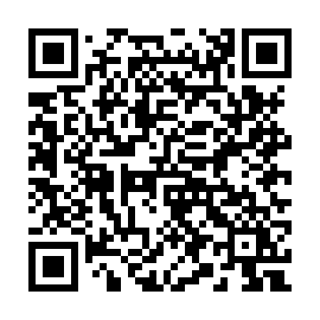 QR code for 295HVY
