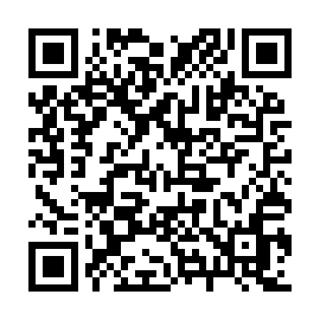 QR code for 295IQN