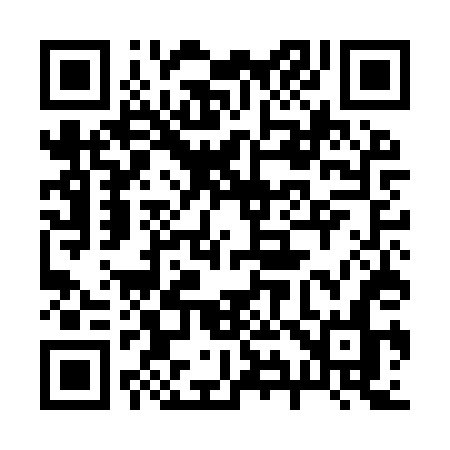 QR code for 295ITN