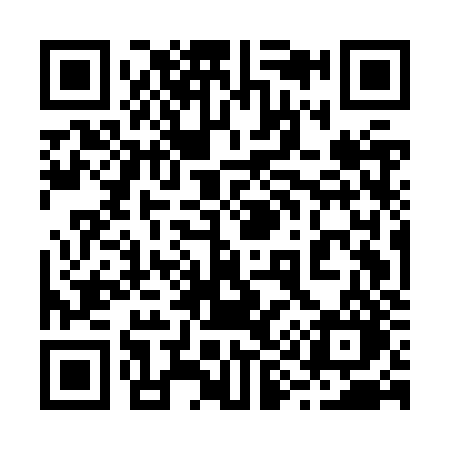 QR code for 295JZO