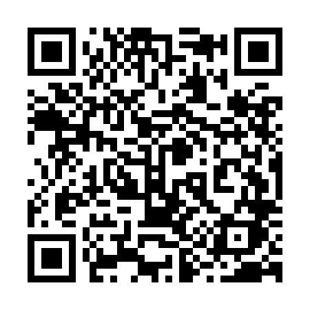 QR code for 295KLK
