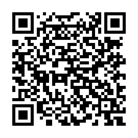 QR code for 295LIS